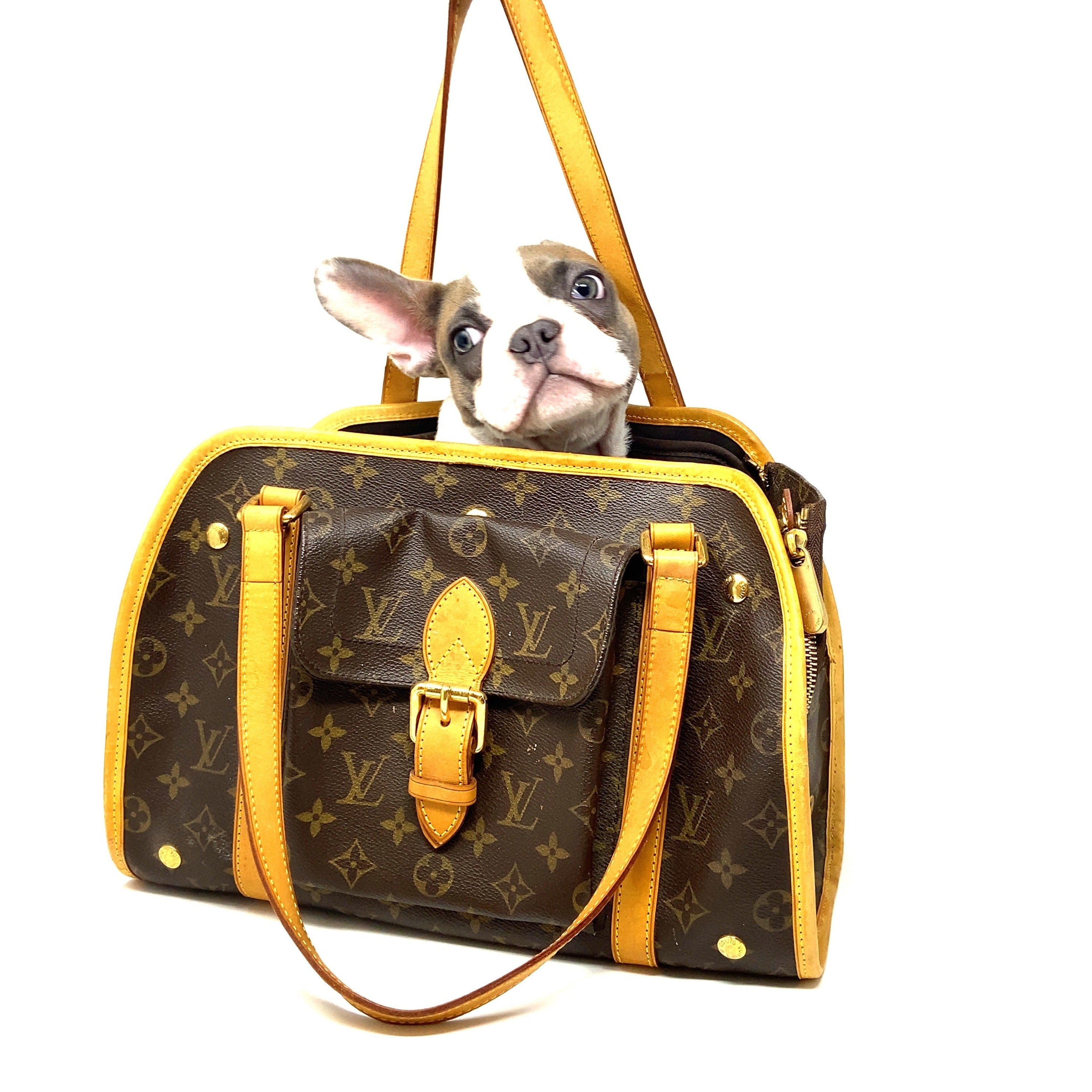 Louis Vuitton Monogram Baxter PM Dog Carrier Pet Bag 107lv38