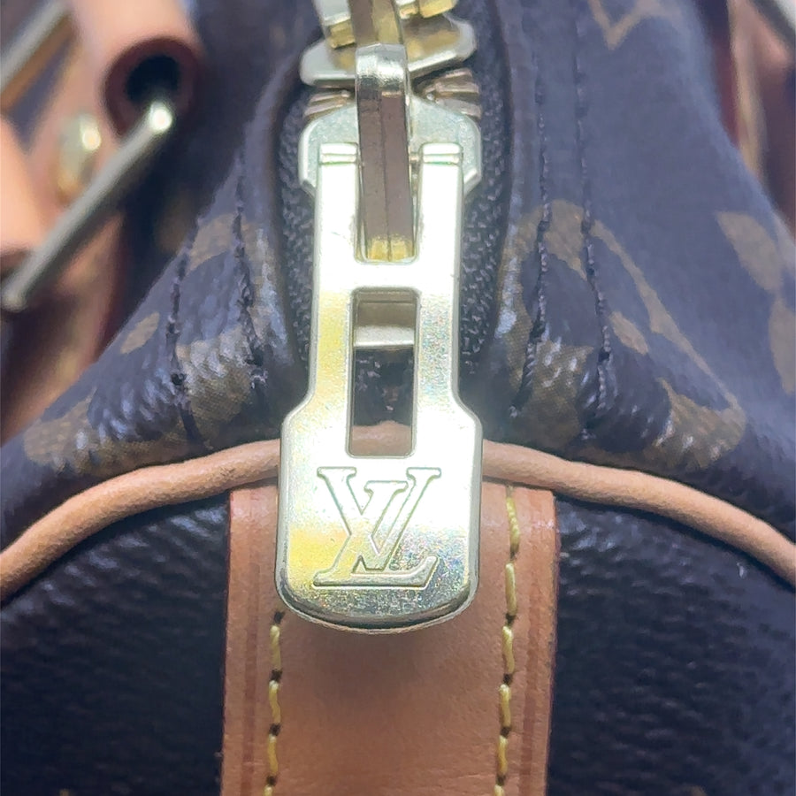 Pre-Owned Louis Vuitton Monogram Speedy 25 Bag