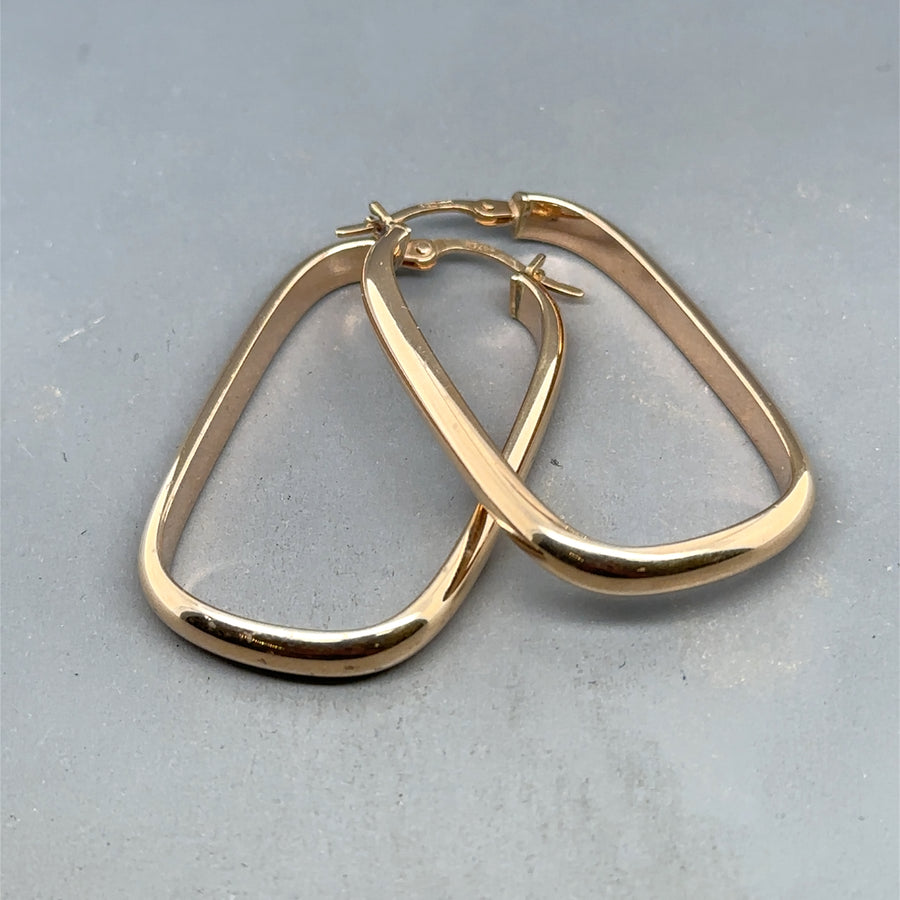 9ct Yellow Gold Hoop Earrings