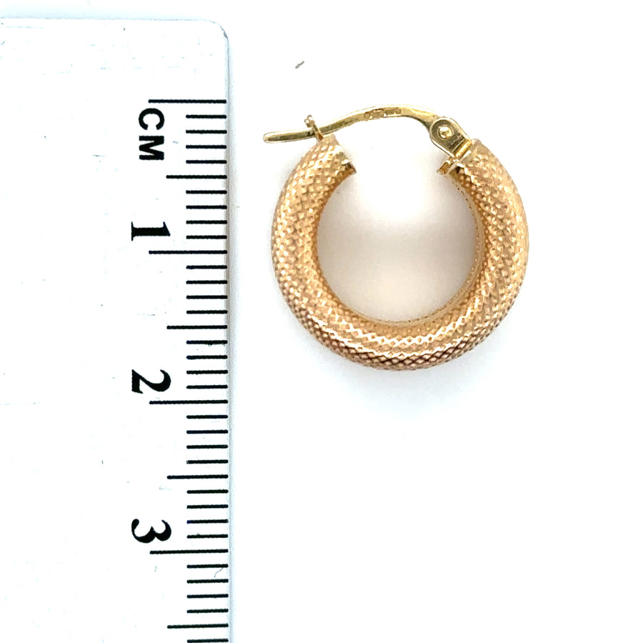 9ct Yellow Gold Hoop Earrings
