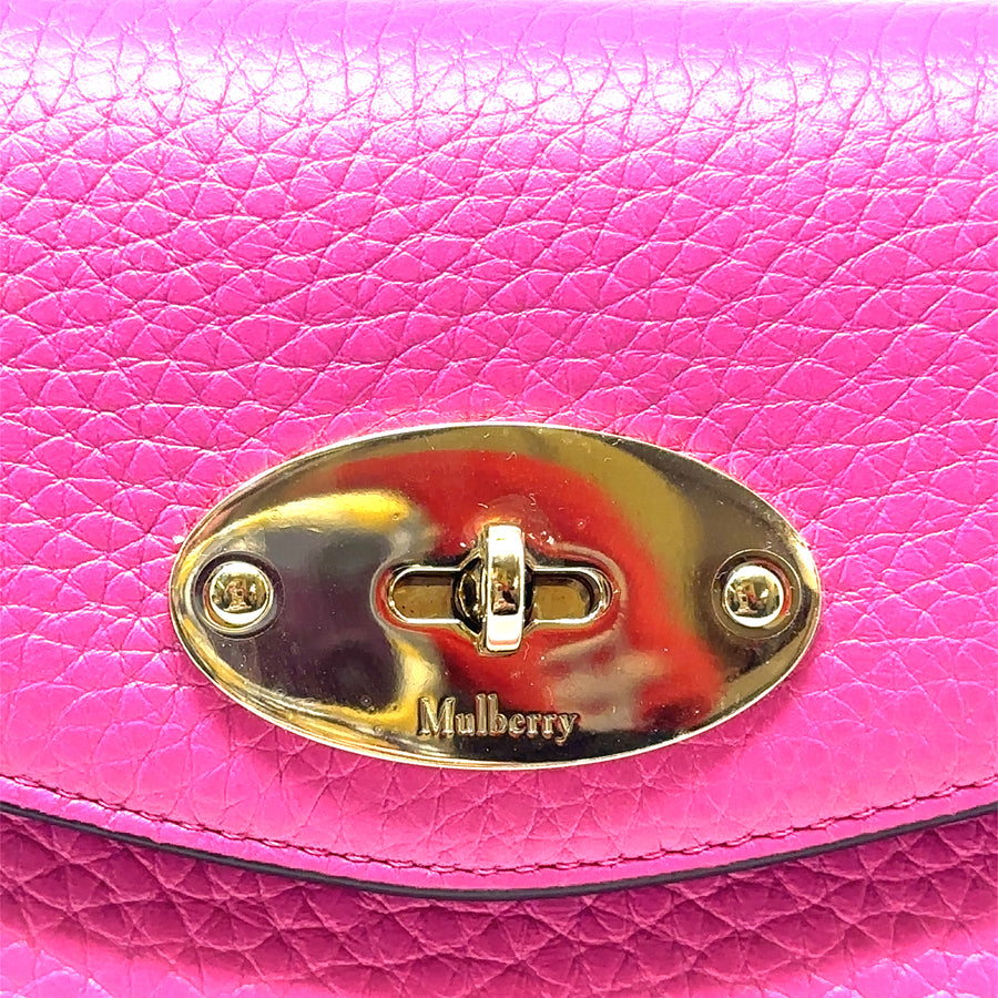 Pre-Owned Leather Mulberry Darley Cosmetic Pouch