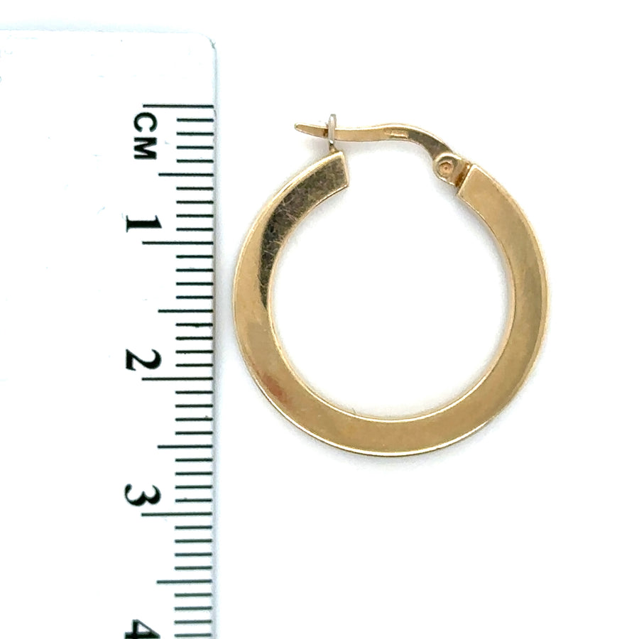 9ct Yellow Gold Hoop Earrings