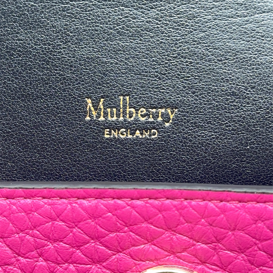 Pre-Owned Leather Mulberry Darley Cosmetic Pouch